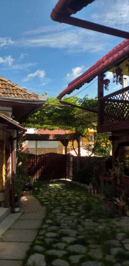 Casa Boierului Imbri Villa Cartisoara Exterior photo